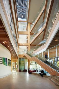 Inside, the full-height Commons is clad in wood, flooded by natural light, and topped by a photovoltaic array.