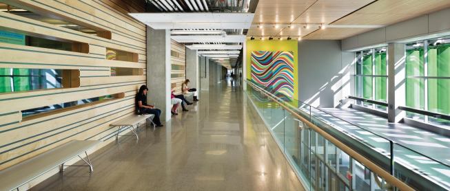 Wherever possible, circulation corridors are fitted out with seating and study areas, turning the building’s public spaces into social hubs for the students.