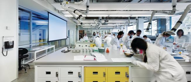 Laboratory spaces spanning six disciplines  are flooded with natural light.