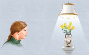 DIFFUSED LIGHT SOURCE CAN CAUSE GLARE, BUT MUCH LESS