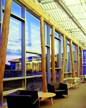 Some of the ash trees were stripped of their outer bark, left whole, and used as columns along the curtain wall facing the nature preserve. Operable windows within this wall are controlled by low-voltage actuators to promote natural airflow into the building, and automatic shades (hidden behind ash planks) close to limit heat gain and glare in the reading room during the brightest parts of the day.