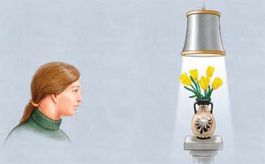 SHIELDED LIGHT SOURCE PRODUCES VIRTUALLY NO GLARE