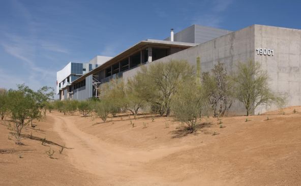 On the other side of the building, the sleek glass panels give way to gray Mexican plaster, terra-cotta, and corrugated metal. Intended to be the face of the headquarters from within the One Scottsdale development, the building is carefully massed to be broken up and less imposing in scale. For now, that massing harmonizes with the native plant species that dominate the rest of the site.