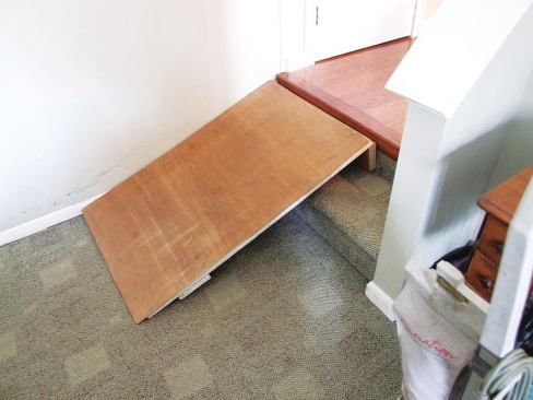 Until 2008, Josh Skoog, who has cerebral palsy, had to move between his house's kitchen and family room via a homemade ramp.