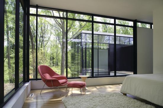 The BlackWhite Residence's glass rear facade embraces its private, wooded setting.