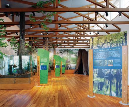 The exhibition space features dioramas and display boards arranged on a wide-plank floor made from reclaimed heart pine. Light filters into the space through translucent Kalwall clerestory windows on the northwest wall.