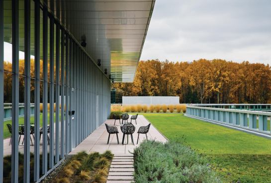 The fourth floor houses executive offices in a smaller footprint, leaving room for an extensive green roof and rainwater collection system. To maximize the outdoor spaces available to employees, the volume is wrapped on two sides with a terrace for al fresco meetings and lunches.