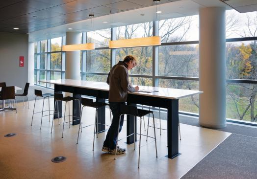 With SAP's corporate focus on collaboration, casual work and meeting spaces were incorporated throughout the project. The view  out of this space on the north side of the building encompasses a grove of old-growth chestnut trees, which have become an endangered species.