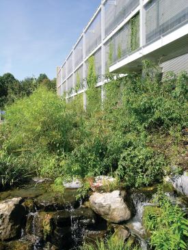 The National Wildlife Federation Headquarters in Reston, Va., was designed by the Washington, D.C., office of HOK, with consultants William McDonough Partners. Here, water ponds capture stormwater runoff, and a circulating flow of captured water from roof runoff is used to anchor and irrigate a teaching garden on site.