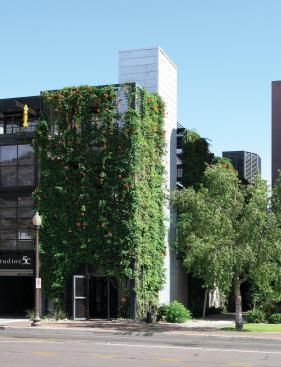 Studios 5C in Tempe, Ariz., designed by RSP Architects with landscape architects IDEA/EDAW, uses a greenwall system to shade the façade and screen views while allowing for air circulation in the hot desert climate.