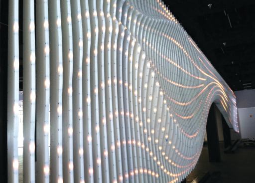 Dynamic Performance of Nature