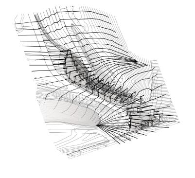 Topographic sections.