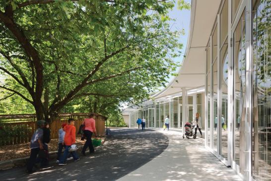 Garden and building pathway.