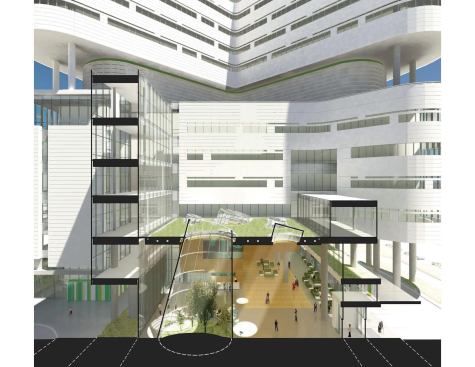 Section perspective through the terrarium.