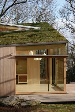 View of green roof and into living area