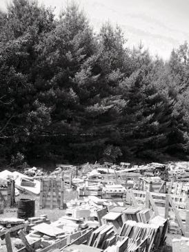 Site before barn was constructed