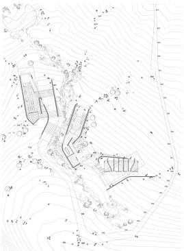 Site and Floor Plan