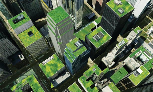 Chicago is already known for having a lot of green roofs, and the team suggests taking that to the next level: greening every roof surface possible. Because the typical Loop building is a tall tower with a relatively small footprint, there isnt enough room to install photovoltaics that could make a dent in energy usage. So reducing heat island effects to relieve the loads on air-conditioning systems is a more effective use of roof space.
