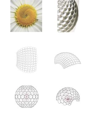 The team investigated different grid configurations, including a hexagonal grid (top) based on phyllotaxis, and a square grid (middle). The hexagonal grid won out because it offered more flexibility (with two additional connection points per cone), but through geometric modeling, the team determined that regardless of the grid pattern, the axes were similar for various shapes being explored (bottom).