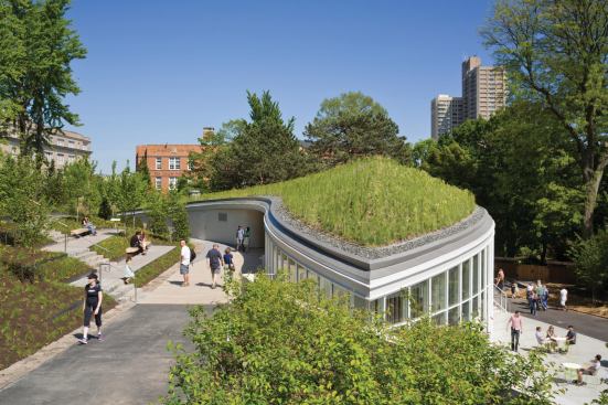 Inhabitable topography and green roof.