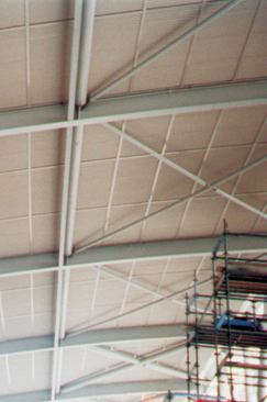 Green and sustainable products come in many forms and exist for every part of a building: inside, outside, and within the ceilings, floors, and walls.

PRODUCT: Durra

WHAT IT IS: Lightweight wheat straw and paper construction system

ENVIRONMENTAL ASPECTS: Uses agricultural byproducts and recycled materials; no added chemicals; efficient use of material