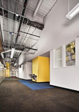 In the newly finished hallway a lattice beam was left exposed amid the new drywall and metal decking. Dusty and rusting spaces have been transformed by brightly painted walls and high-traffic carpet tile.