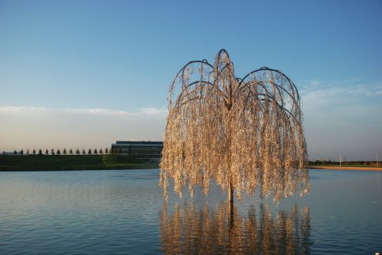 For the main city park in Grand Prairie, Texas, Cao and Perrot created Willow Tree, a permanent centerpiece made out of stainless steel and 80,000 handmade mother-of-pearl leaves. Cao was familiar with mother-of-pearl from Vietnam, where it’s often embedded in furniture. “The sound was one thing we didn’t expect,” he says of the finished installation, “a rustling sound, like a wind chime.”