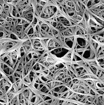 Carbon nanotubes are up to 50 times stronger yet 10 times lighter than steel.