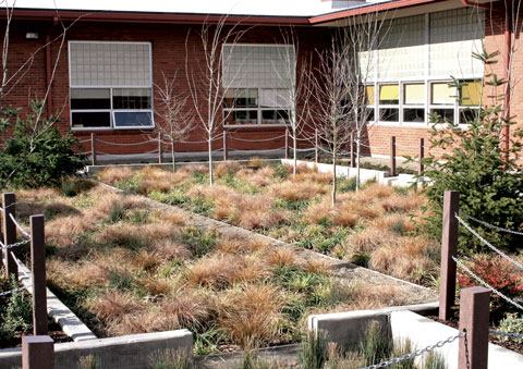 Kevin Robert Perry: Mount Tabor Middle School Rain Garden