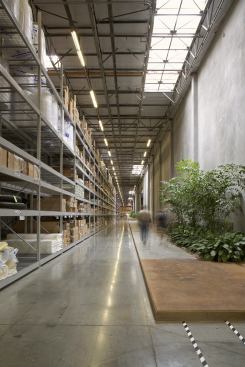 Integration between landscape design and architecture enhances a staff-friendly environment. Timber bamboo, fishtail palms, and other low-light-tolerant plants form gardens along the nearly 800-foot-long Main Street. 