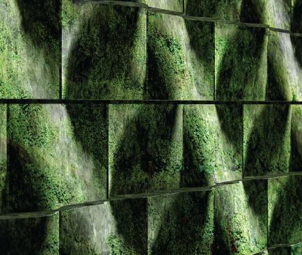 Digital renderings of the blocks in application show how the environment and the elements will interact with the different profiles, which become everything from a growing surface for moss to a habitat for birds.