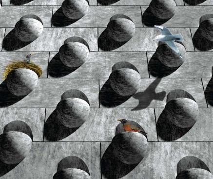 Digital renderings of the blocks in application show how the environment and the elements will interact with the different profiles, which become everything from a growing surface for moss to a habitat for birds.