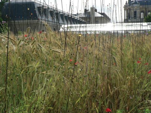 Pollen gardens detail.