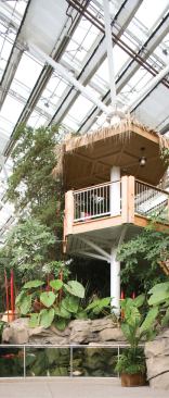 Plant beds have root-zone heating, so the canopies of the plants can endure cooler temperatures without suffering. Misters deliver a fine spray of water to plant canopies as needed, and in summer ultrasonic foggers near the footpaths introduce evaporative cooling locally. Radiant heating in the footpaths provides supplementary heat when needed.