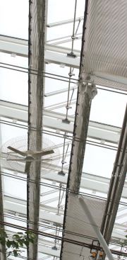 All glazing is argon-filled insulated clear glass except above door height on the south wall, where uninsulated, single-pane glass permits the maximum amount of light to reach the light-hungry tropical plants. To minimize shadows, window mullions on sunny exposures have narrow profiles and are perpendicular to the curved wall. If sunlight overheats the interior, automated shades unroll below the roof to keep the heat near the envelope. The shades are Mylar coated on the upper surface to reflect radiant energy and have insulating fabric on the underside. The architects plan to add shades on the vertical south glass wall, because the conservatory gets a bit too warm on sunny winter days.