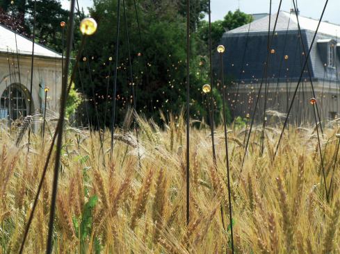 Pollen gardens detail. 