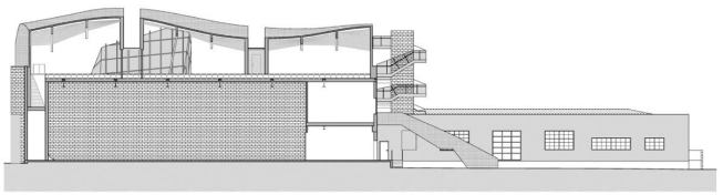Longitudinal section