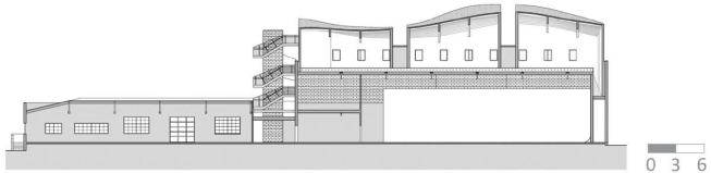 Longitudinal section