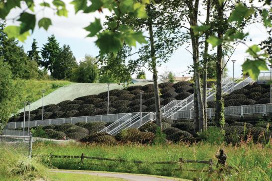 The studio is adept at using manmade, often highly refined materials, to evoke natural forms, but with Pillow Field, Cao | Perrot sculpted the humblest natural material—earth—into an undulating, quilted field. The design team used compacted earth and thyme to create more than 200 land-pillows on a site located between mixed-income housing and the White Center, Wash., business district. The City of White Center was the client; Cao | Perrot Studio accepts commissions from public agencies as well as luxury brands like Kenzo.