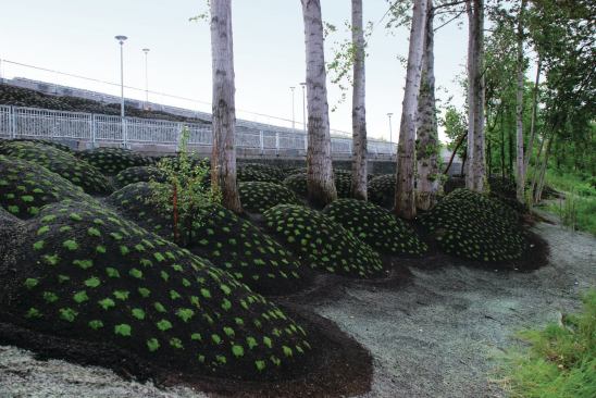 A detail from Pillow Field. 