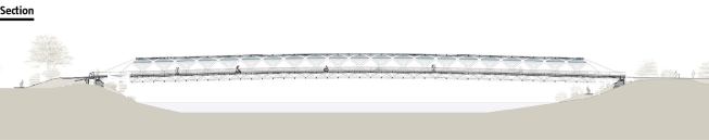 Section