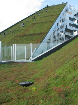 One of the project's two sloping green roofs.