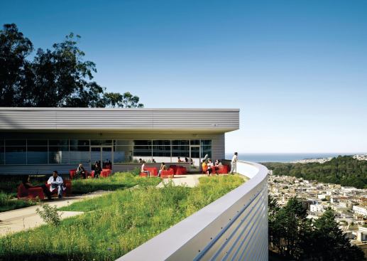 A series of green-roof terraces (this image) follows the buildings stepped-down volumes. These public outdoor spaces afford views of Golden Gate Park and the Pacific Ocean beyond.