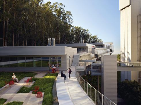 Stepped green roofs and suspended staircases