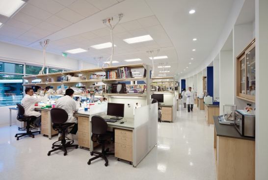 Laboratory space showing the curve of the building