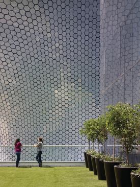 The hexagonal tiles seen from the green roof of a neighboring building.