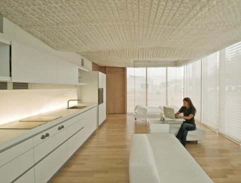 The combined kitchen, dining, and living space with a retractable bed
