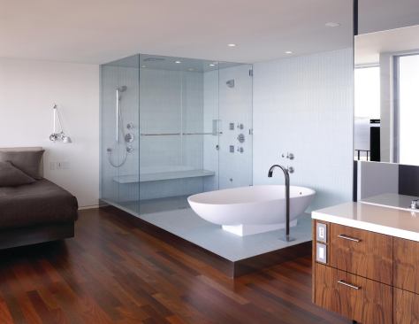Without a clear boundary from the master bedroom, the traditional bathing functions float apart to establish their own distinct identities.