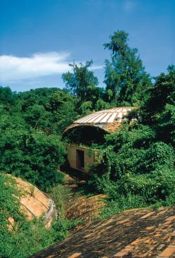 John Loomis, an American architect, published these photos of the school in his book, "Revolution of Forms, Cuba’s Forgotten Art Schools" (Princeton Architectural Press, 1999).