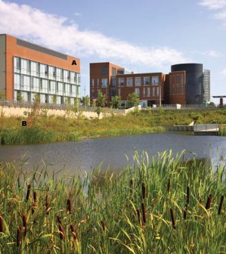 A  Brick I-XL 
www.ixlbrick.com Appears in this project as Redflashed smooth from the Redcliff pressed brick division  Pressed bricks available in nearly 30 colors, each available in varied facebrick and hollow brick sizes  Also available are an extruded/wirecut line and eight different textures 
B  1600 series curtain wall framing system Kawneer 
www.kawneer.com Integrated curtain wall  Outside or inside glazing options  Condensation water-management capabilities in some systems  Pressure-glazed units are suited for low to midrise applications  Smooth appearance achieved with concealed fastener joints and fillers that snap into place in open-backed mullions  Protected openings meet codes in most regions with wind-borne debris concerns